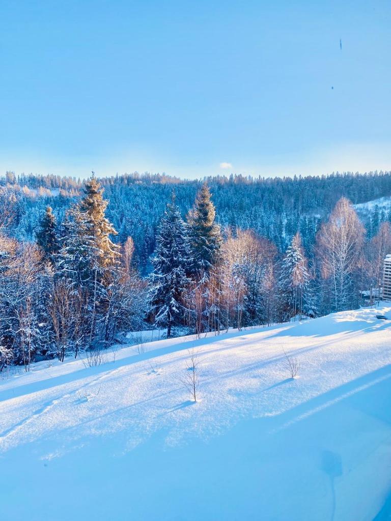 Mount Hotel Славское Экстерьер фото